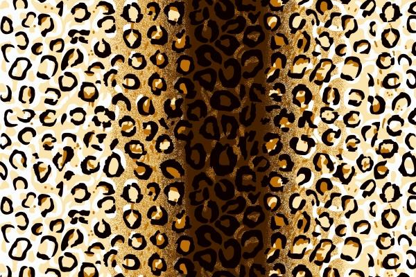 2024年属兔运势 属兔事业好有偏财