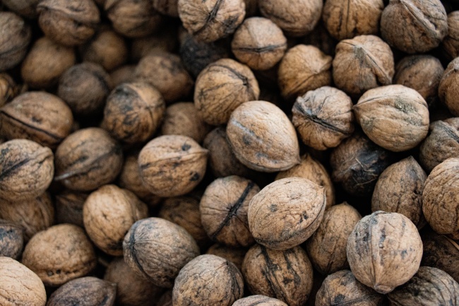 83年猪与86年虎生肖是不是相合，爱情怎样发展？