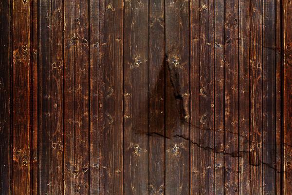 属龙人和谁一起感情好 属龙人跟谁谈得来