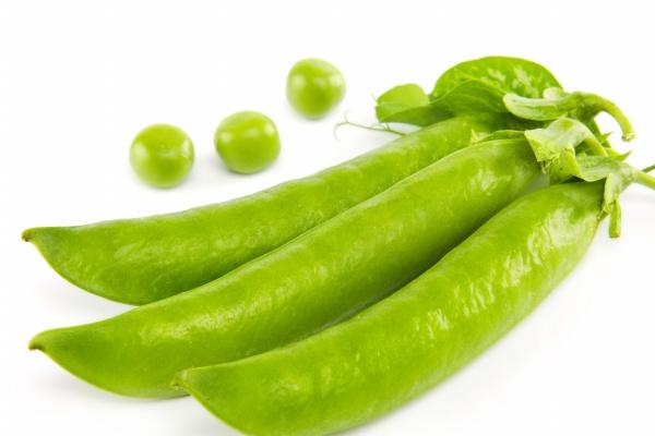 生肖相冲一览 2024年5月24日冲什么属什么生肖