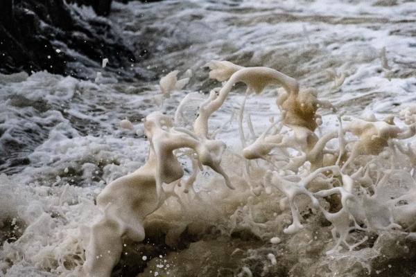 2024年龙年属猴人全年度运势 属猴人2024年龙年国内运势