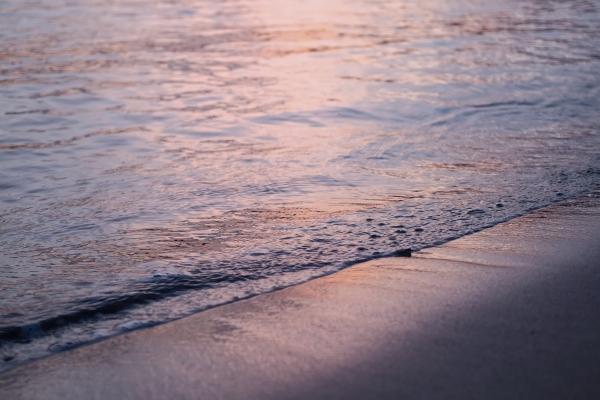 仙指阁运势 2024年6月27日十二生肖运势分析