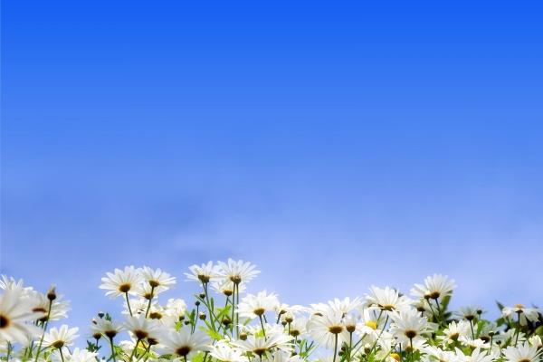 属猴男和属猪女孩子合婚如何 属猪女和属猴男相配吗