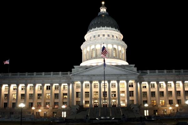 1981年出世的人2024年运势 1981年鸡2024年运势怎样