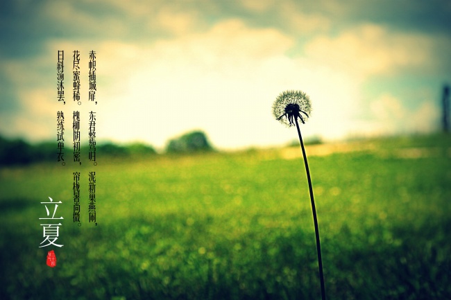 2024年福气满满的生肖 运势好一点的属相2024