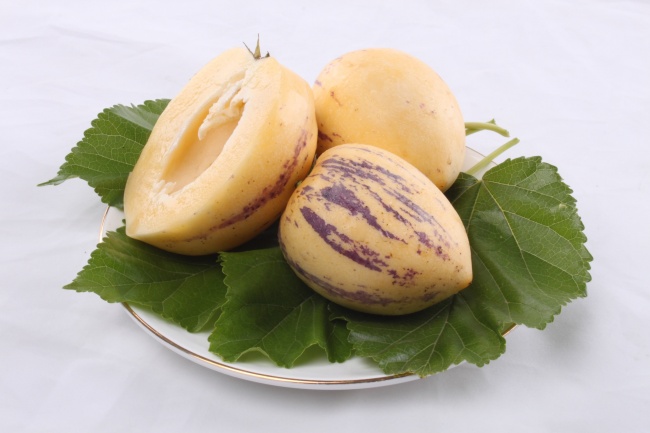 72属鼠2024年总体运势 1972属鼠2024运势及运势