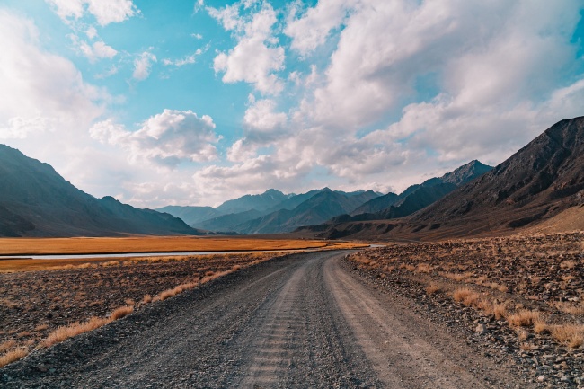 思维迟钝的生肖 智力一般的生肖