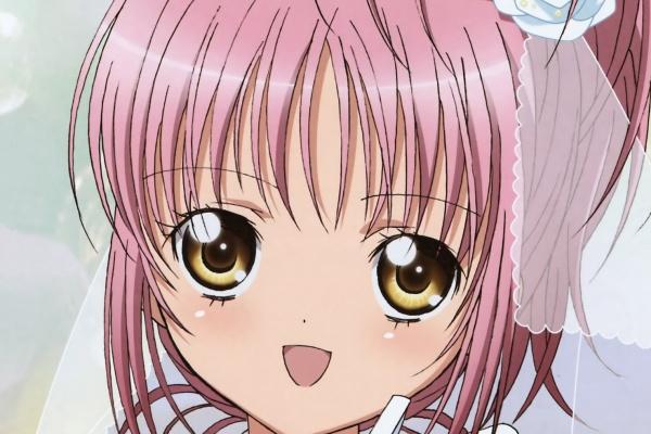 2024年的崛起的生肖 运势好的生肖