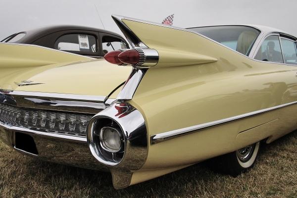 属牛的2024年结婚怎么样 2024年属牛的适宜结婚吗