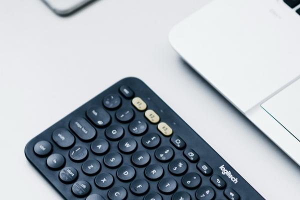 87年兔2024年的运势 2024年1987属兔人全年度运势