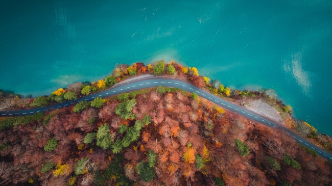 属猪男属鼠女匹配 男猪女鼠相配吗婚姻生活