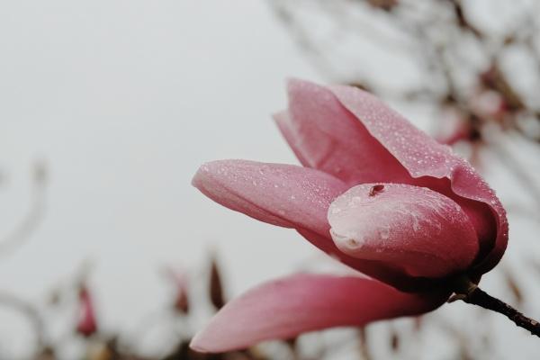 2024年好运连连的属相 2024年喜事不断的属相