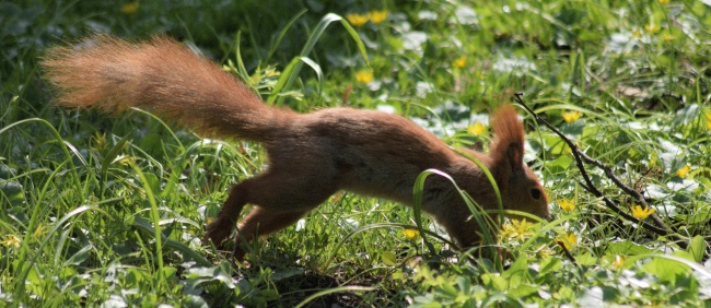1976年属龙男在2024年运势 76年属龙男士2024年运势及运势