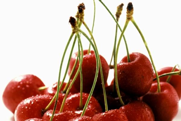 女属兔男属鸡婚姻怎样 属鸡女和属兔男合不合