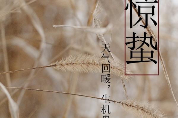 女属羊男属鼠的婚姻生活 鼠男羊女合婚合不合适