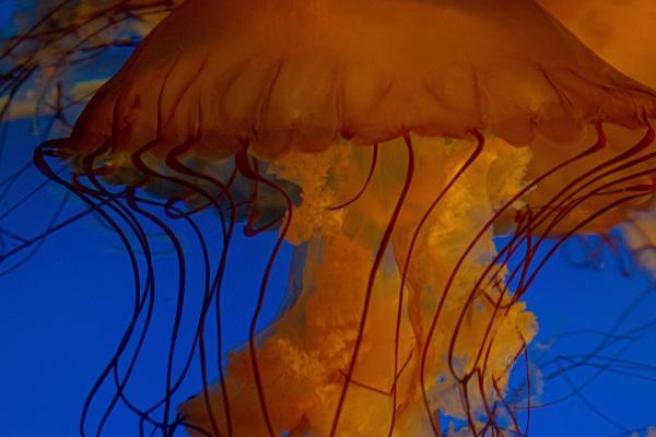 2024年什么生肖女将迎来添丁之喜 属鼠女属马女