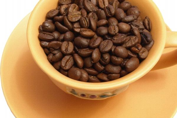 属猪的合婚哪些属相好 属猪合婚最好属相