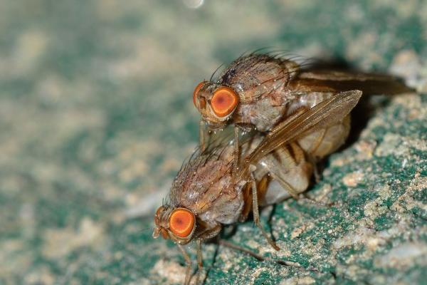 仙指阁运势 十二生肖周运详细说明2024.7.15-7.21