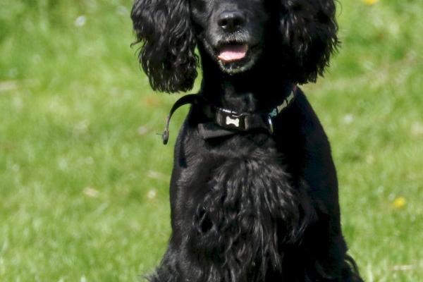 2024年失业的生肖女 2024事业运差生肖