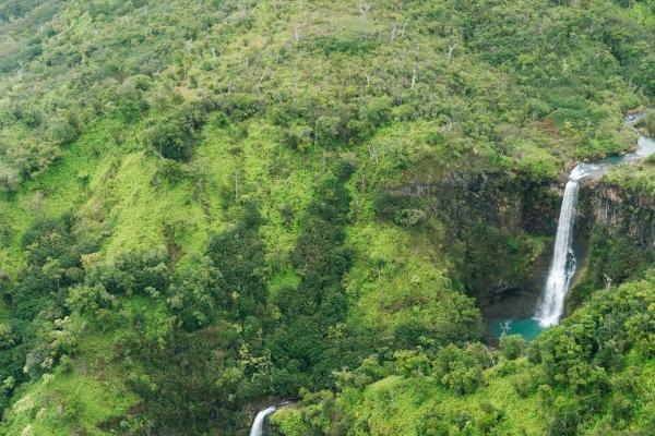仙指阁运势 2024年十二生肖8月运程解析