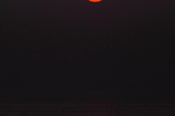 脾气不好却无能的生肖女，这样的她令人失望