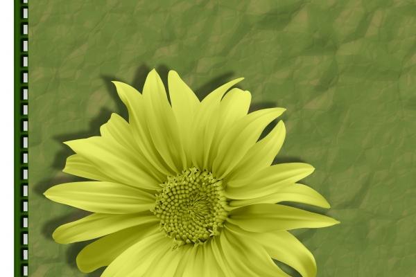 生肖虎和龙相冲吗 事业上互相帮助