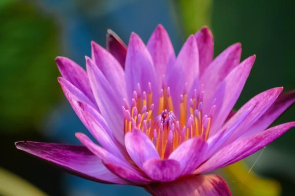 儿女有很大出息的生肖女 儿女运好的生肖