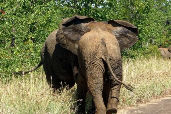 8月正财运比较好的生肖2024年 生肖蛇智慧经营财富提高
