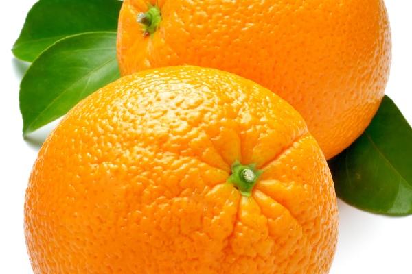 寿命最久的生肖是哪个？长寿秘诀在这儿