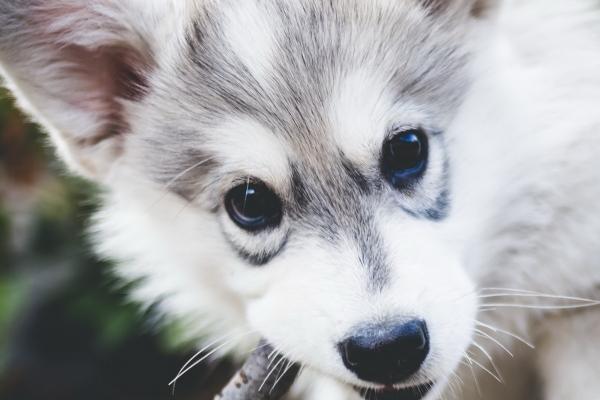 2024年妻离子散的生肖 鼠龙马需预防