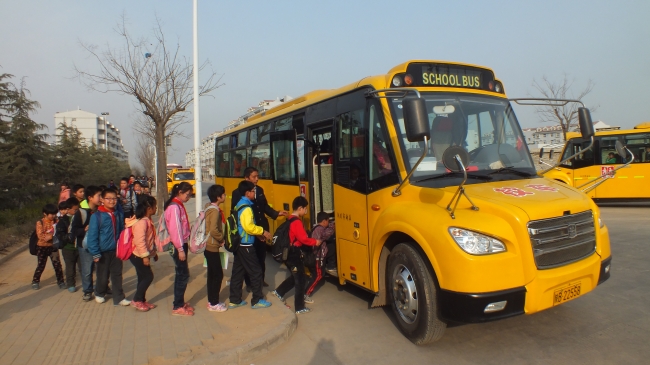 思维迟钝的生肖 智力一般的生肖