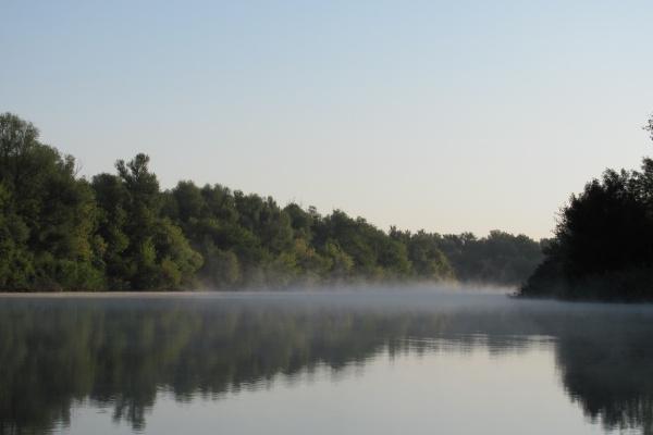 生肖兔和虎相克吗 属兔人与属虎人不一样关系分析