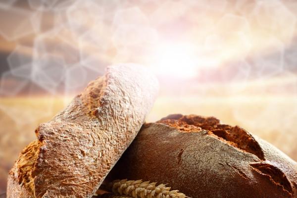 犯太岁属相2024年 2024年太岁星君犯什么属相