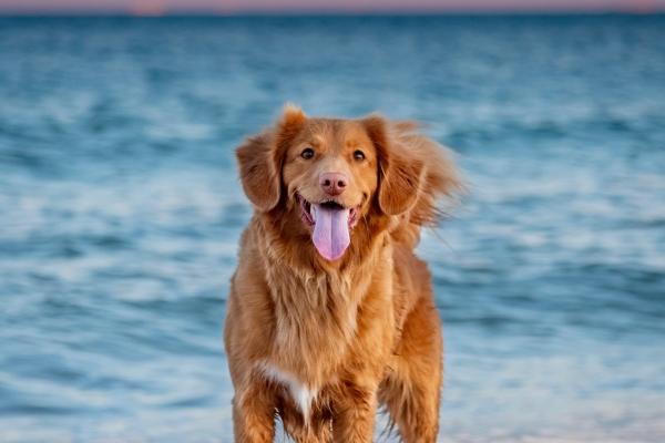 2024在今年的必然破财的生肖 岁月财运有害的生肖