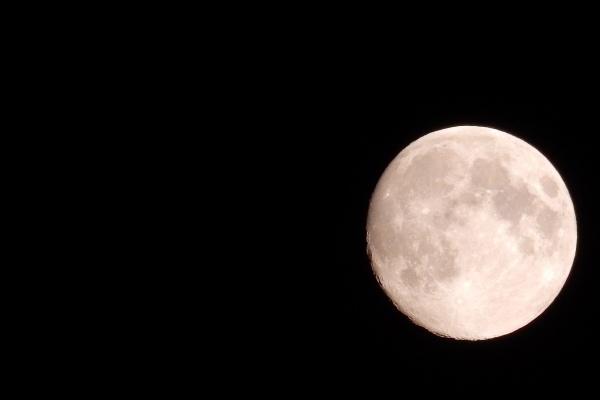 仙指阁运势 2024年8月19日十二生肖运势分析