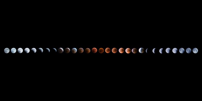 仙指阁运势 2024年9月25日十二星座运势分析
