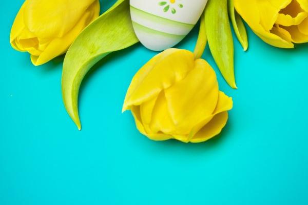 属鸡人2025年每月运程