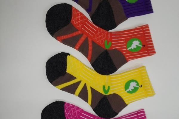 个人能力很强的生肖女