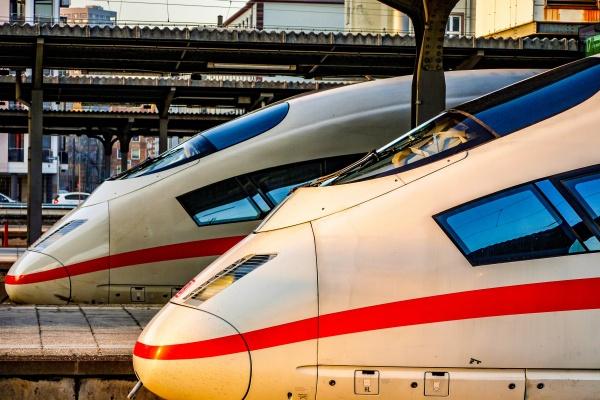 猪和猴在一起对谁不好