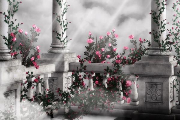 属马人2025年每月运势