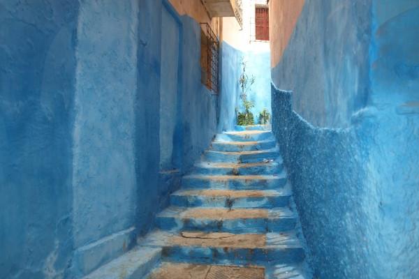 12生肖今日运势详细说明（2025.1.31）