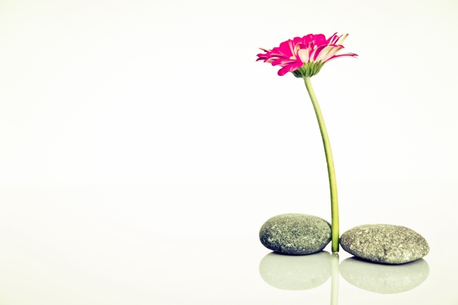 让男人不断心动的生肖女