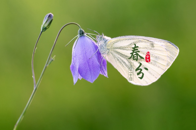 五行水弱佩戴什么好