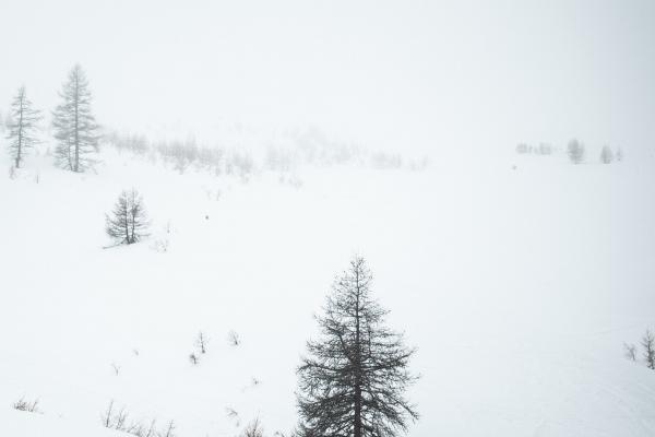 一生最有福气的属相