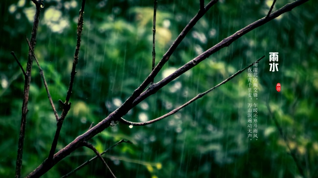 属龙人2025年幸运色