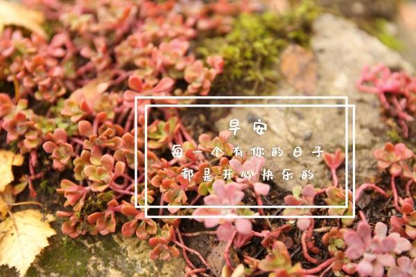 水命人适合去哪里发展