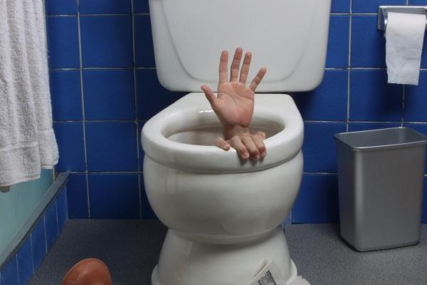 鼠和虎在一起对谁不好