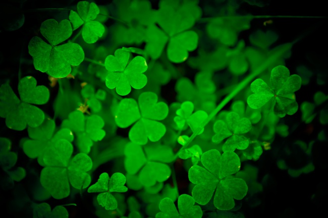 12生肖今日运势详解（2025.2.6）