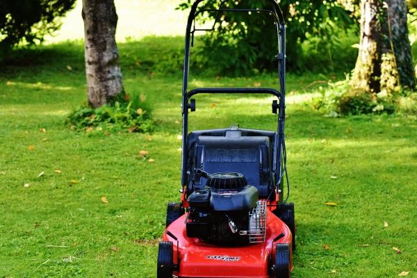 属鸡人2025年感情运怎样