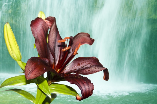 属羊人2025年感情运怎样